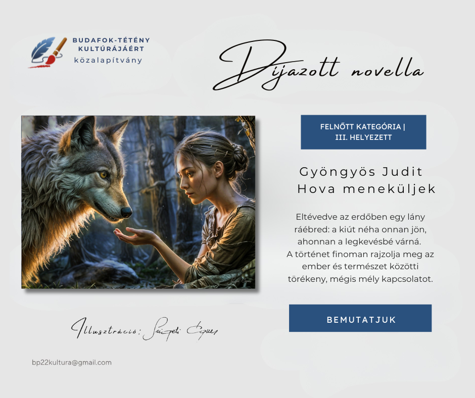 Gyöngyös Judit: Hova meneküllek – Elveszve